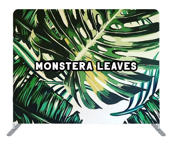 monstera leaves